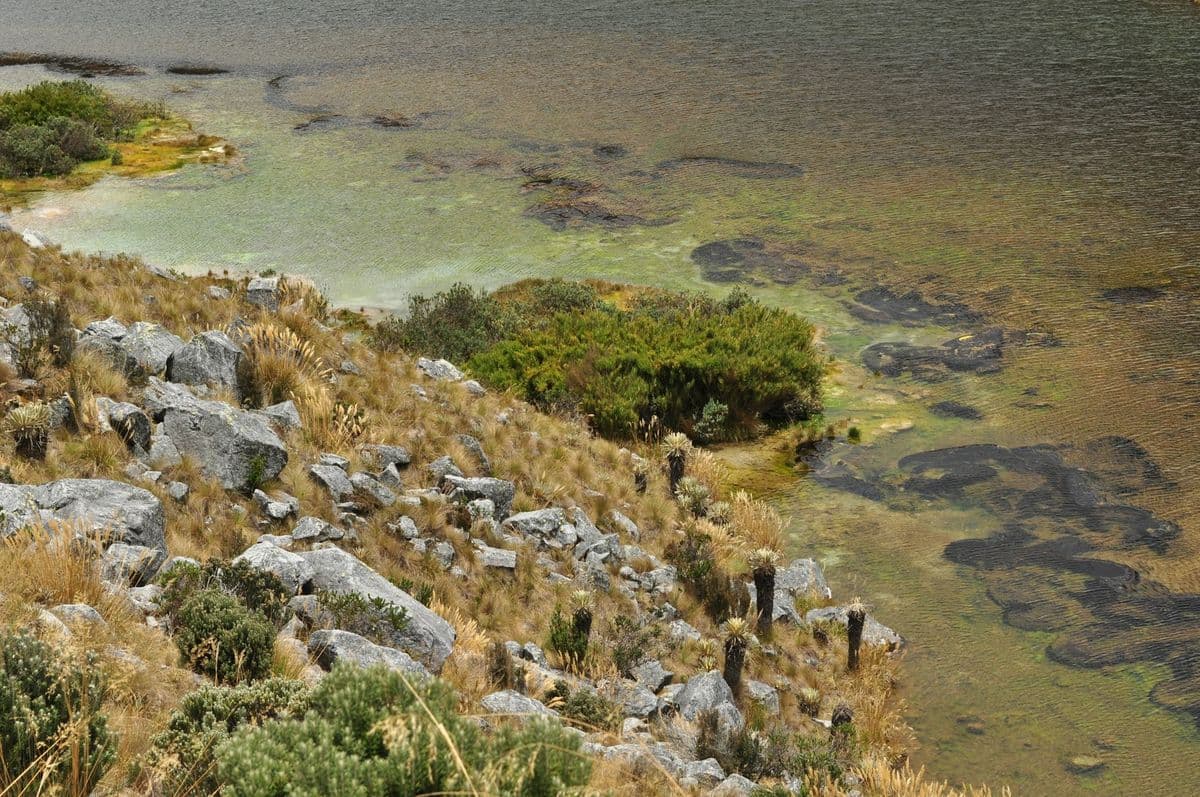 Especial paramo